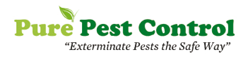 Pure Pest Control