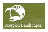Scorpion Landscapes