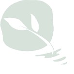 Rocky Coast Integrated Medicine