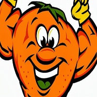 Citrus Solutions Carpet Cleaning