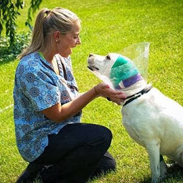 Maple Hills Veterinary Hospital