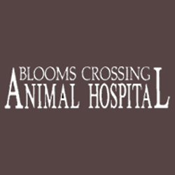 Blooms Crossing Animal Hospital