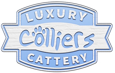 Colliers Cattery