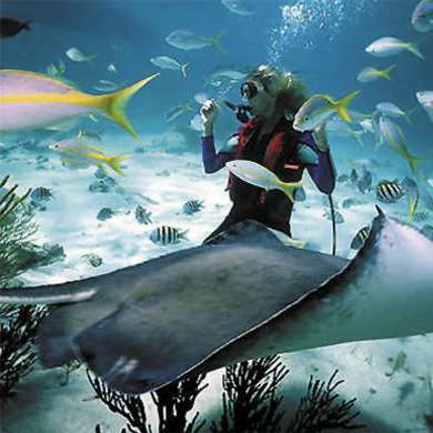 Dive Adventures Asia