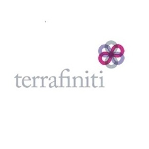 Terrafiniti