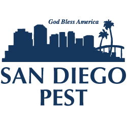 San Diego Pest Control 
