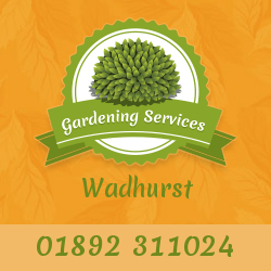 Gardening Services Wadhurst