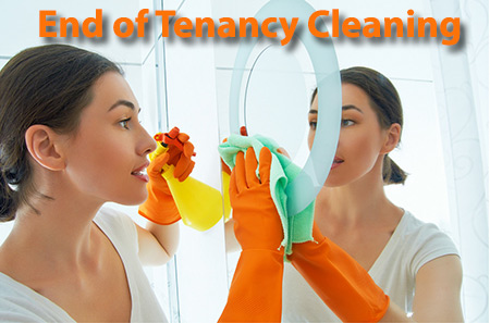 Dustblasters Cleaning Services