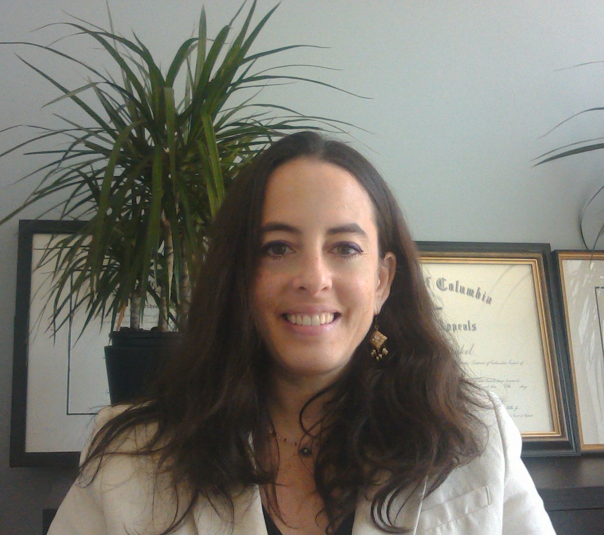 Garfinkel Immigration Law, LLC