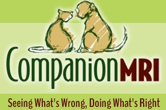 Companion MRI (CICNE)