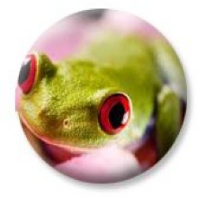 Avian & Exotics Center of Nashville